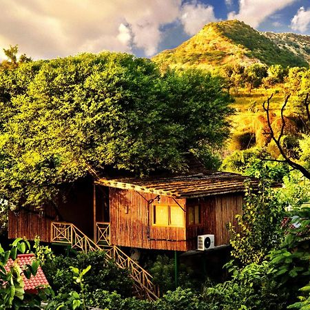The Tree House Resort ชัยปุระ ภายนอก รูปภาพ