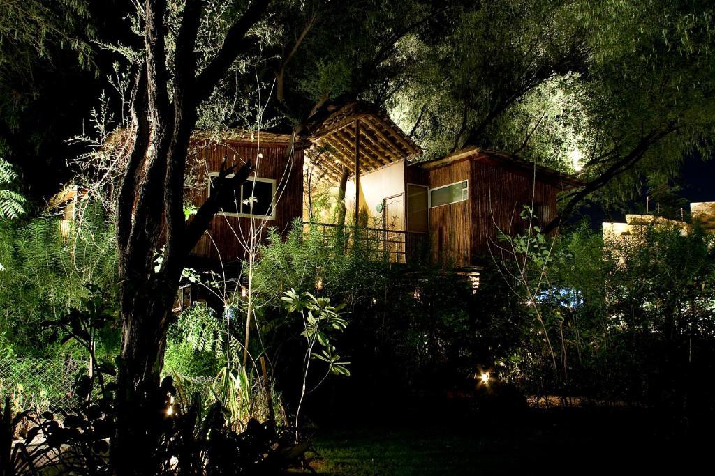 The Tree House Resort ชัยปุระ ภายนอก รูปภาพ