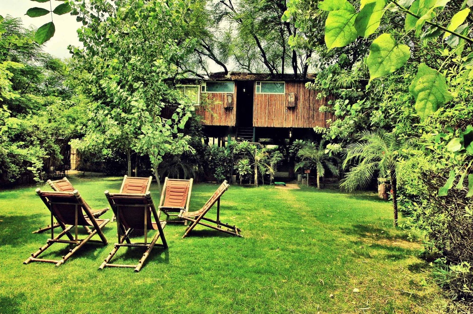 The Tree House Resort ชัยปุระ ภายนอก รูปภาพ