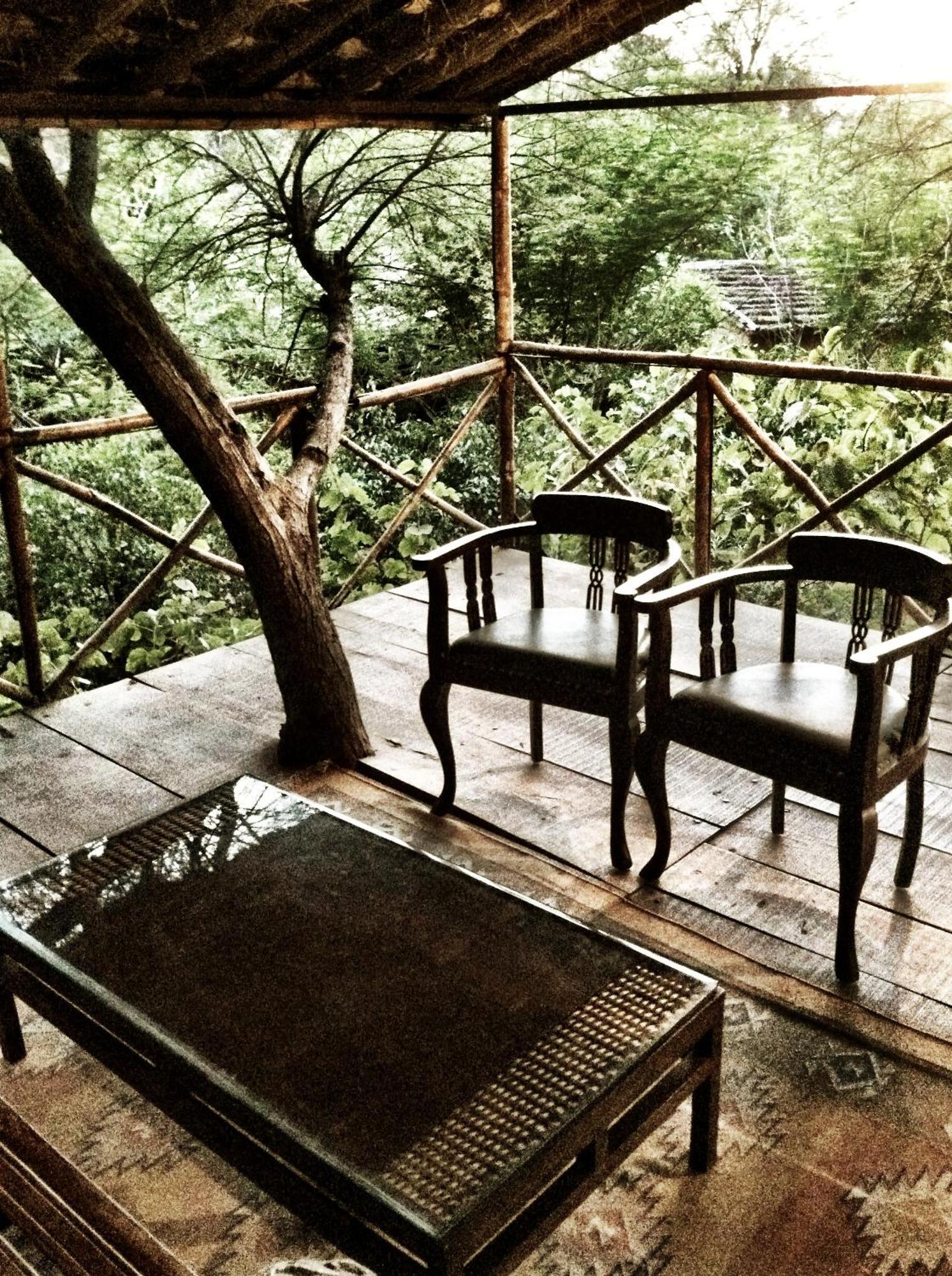 The Tree House Resort ชัยปุระ ภายนอก รูปภาพ