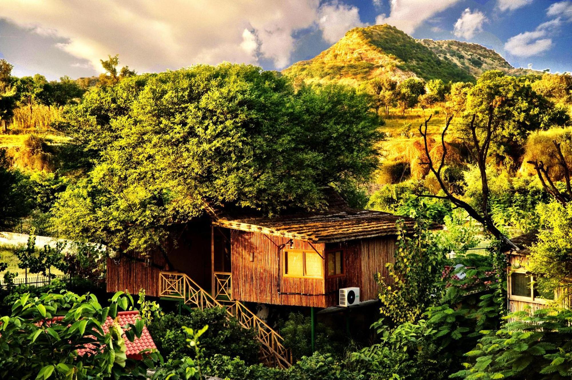 The Tree House Resort ชัยปุระ ภายนอก รูปภาพ
