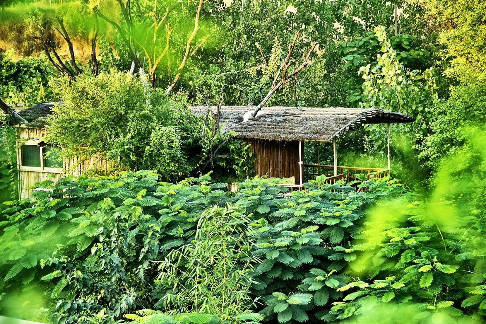 The Tree House Resort ชัยปุระ ภายนอก รูปภาพ