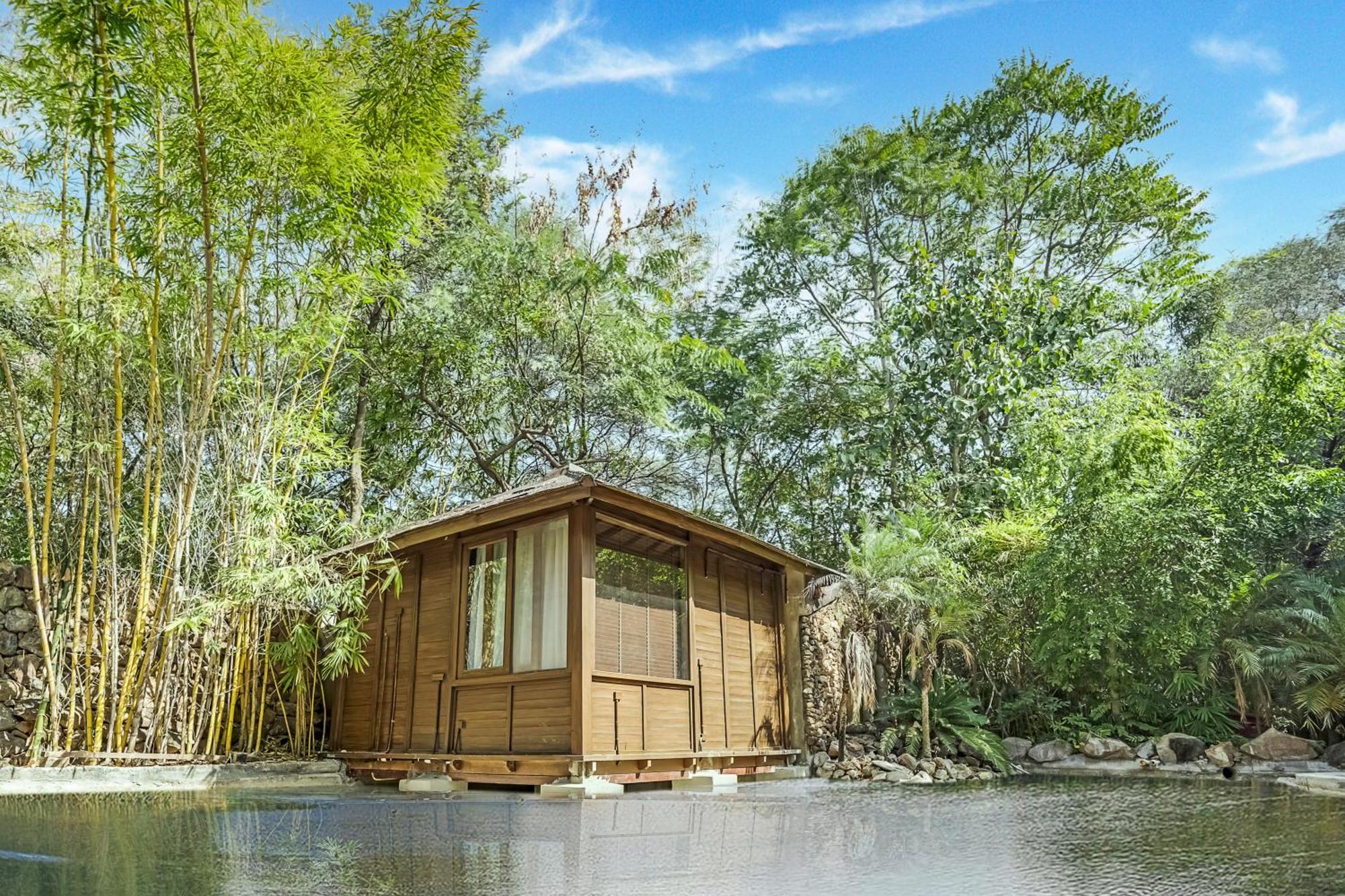 The Tree House Resort ชัยปุระ ภายนอก รูปภาพ