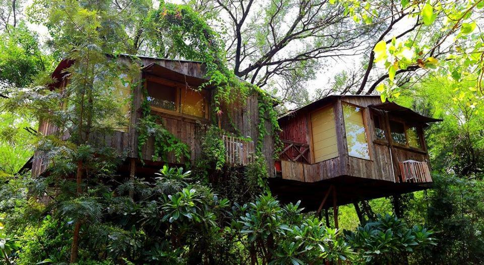 The Tree House Resort ชัยปุระ ภายนอก รูปภาพ